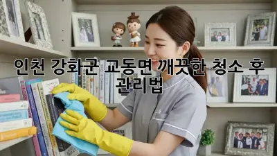 인천 강화군 교동면 깨끗한 청소 후 관리법